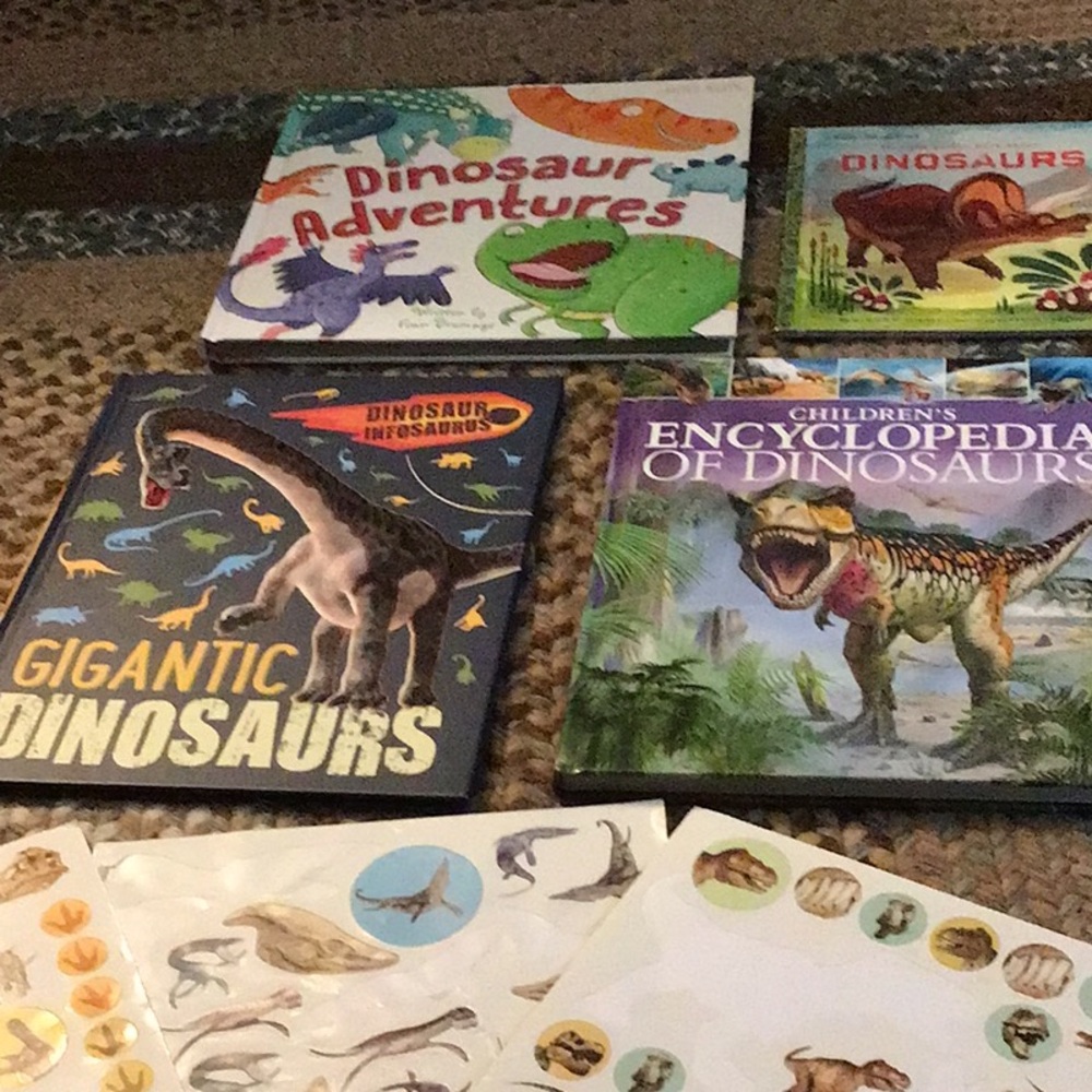 Dinosaur book Set